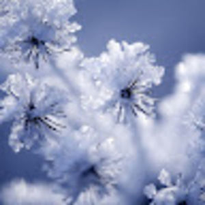 Meet your Posher, Li